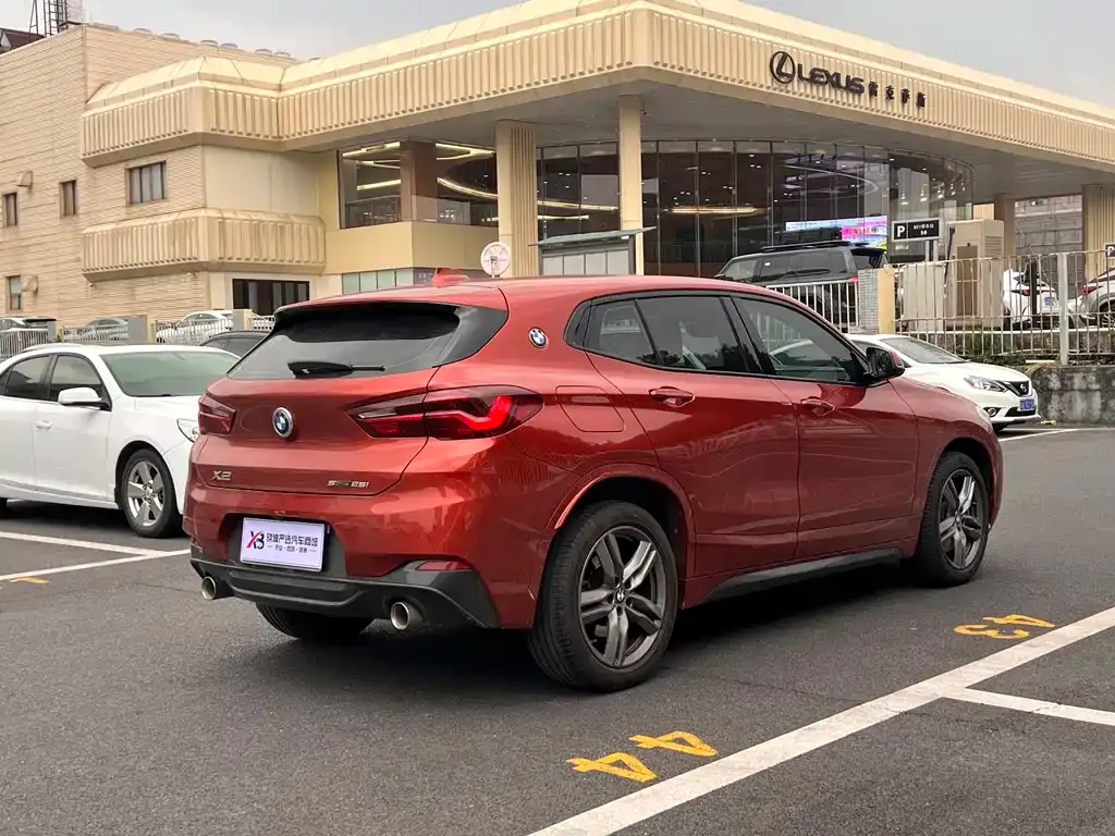 BMW X2 2021 из CN, фото 6