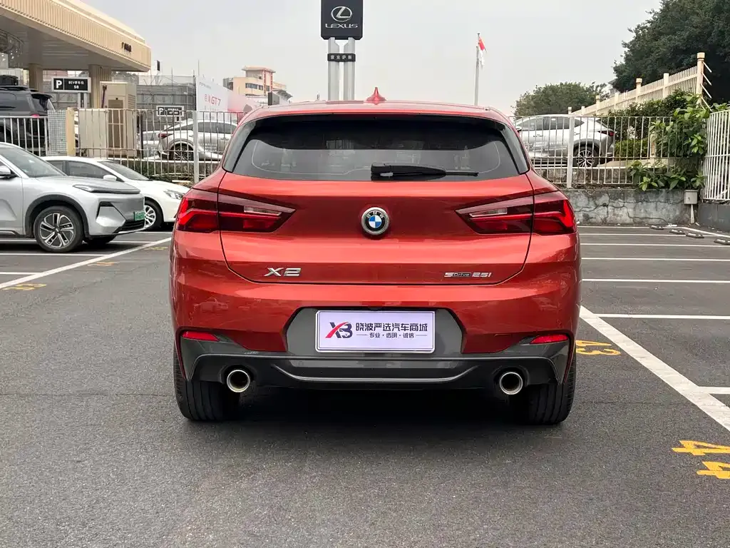 BMW X2 2021 из CN, фото 4