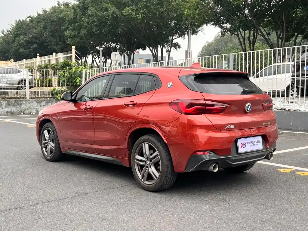BMW X2 2021 из CN, фото 10