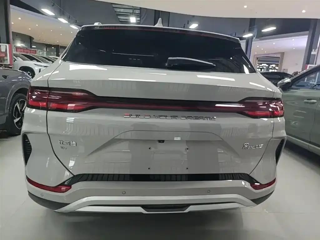 BYD PLUS New Energy — фото 4