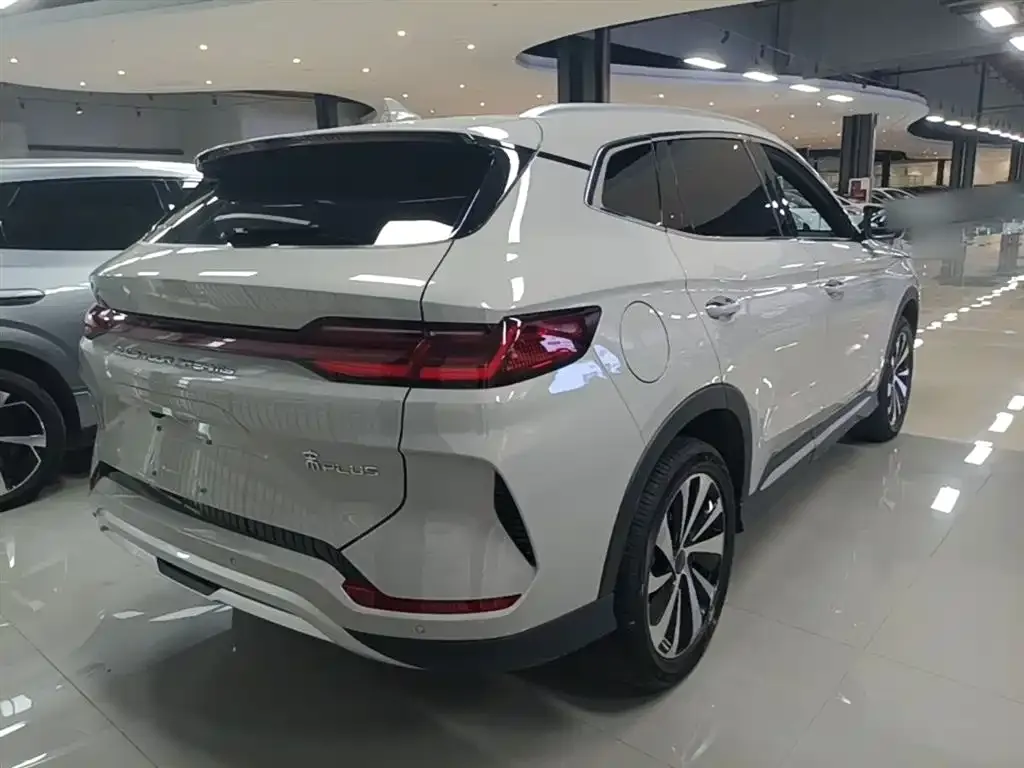 BYD PLUS New Energy — фото 8