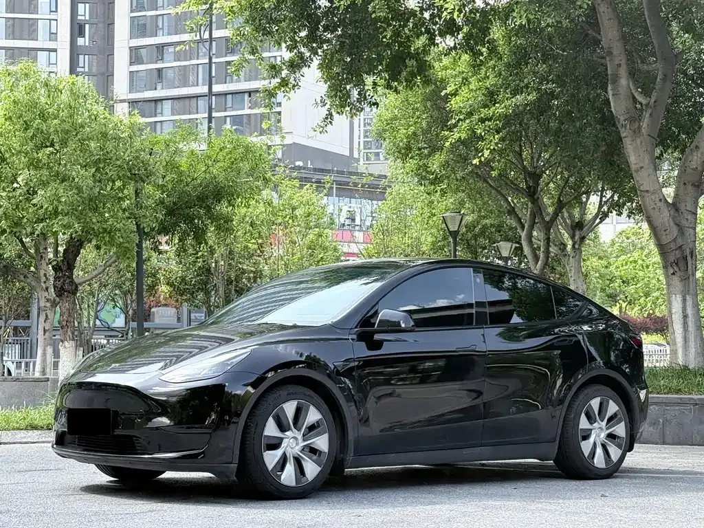 Tesla Model Y 2021 из CN, фото 1