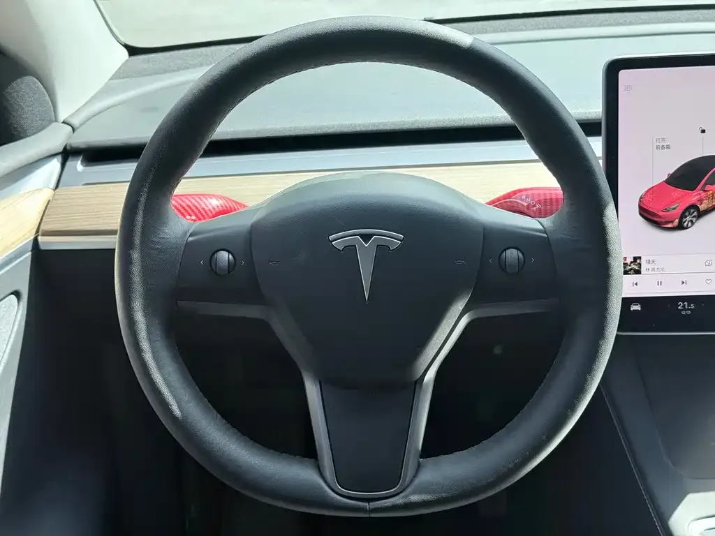 Tesla Model Y 2021 из CN, фото 5