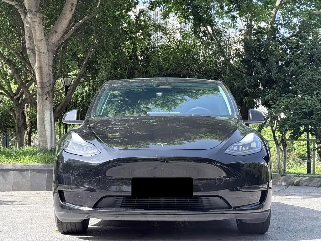 Tesla Model Y 2021 из CN, фото 8