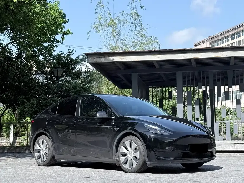 Tesla Model Y 2021 из CN, фото 9