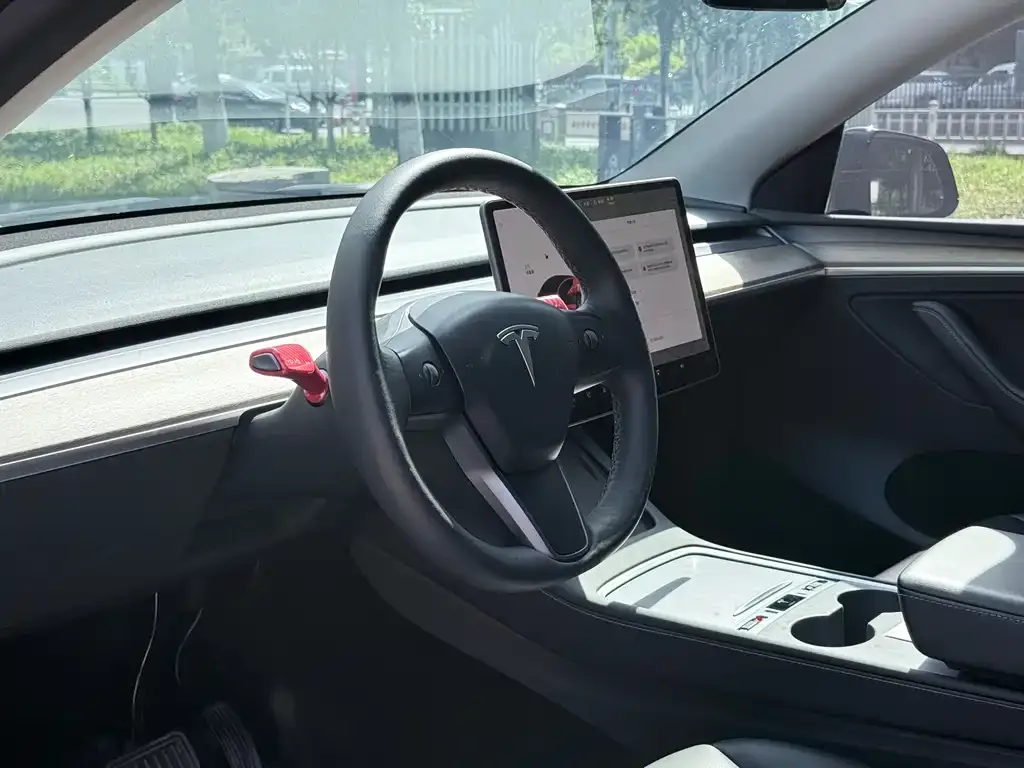 Tesla Model Y 2021 из CN, фото 4