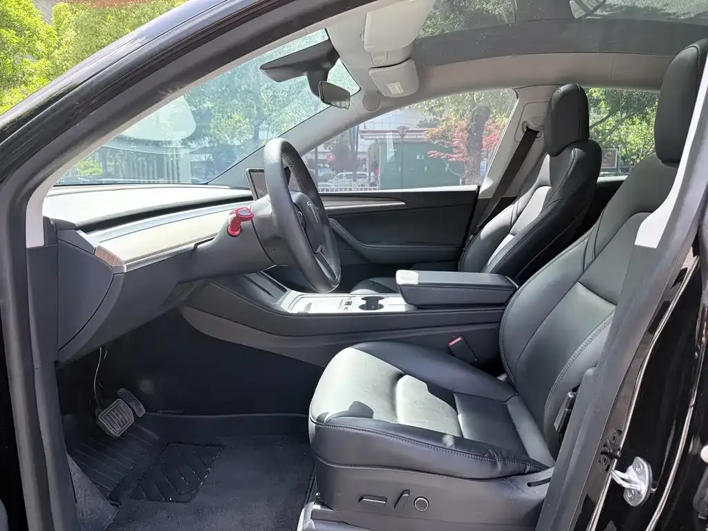 Tesla Model Y 2021 из CN, фото 10