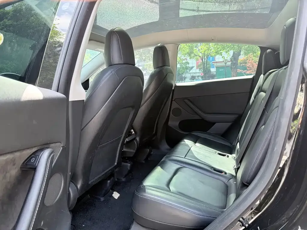 Tesla Model Y 2021 из CN, фото 6