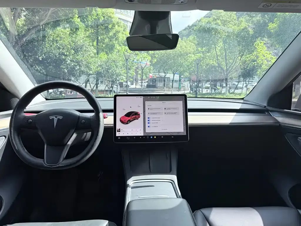 Tesla Model Y 2021 из CN, фото 3
