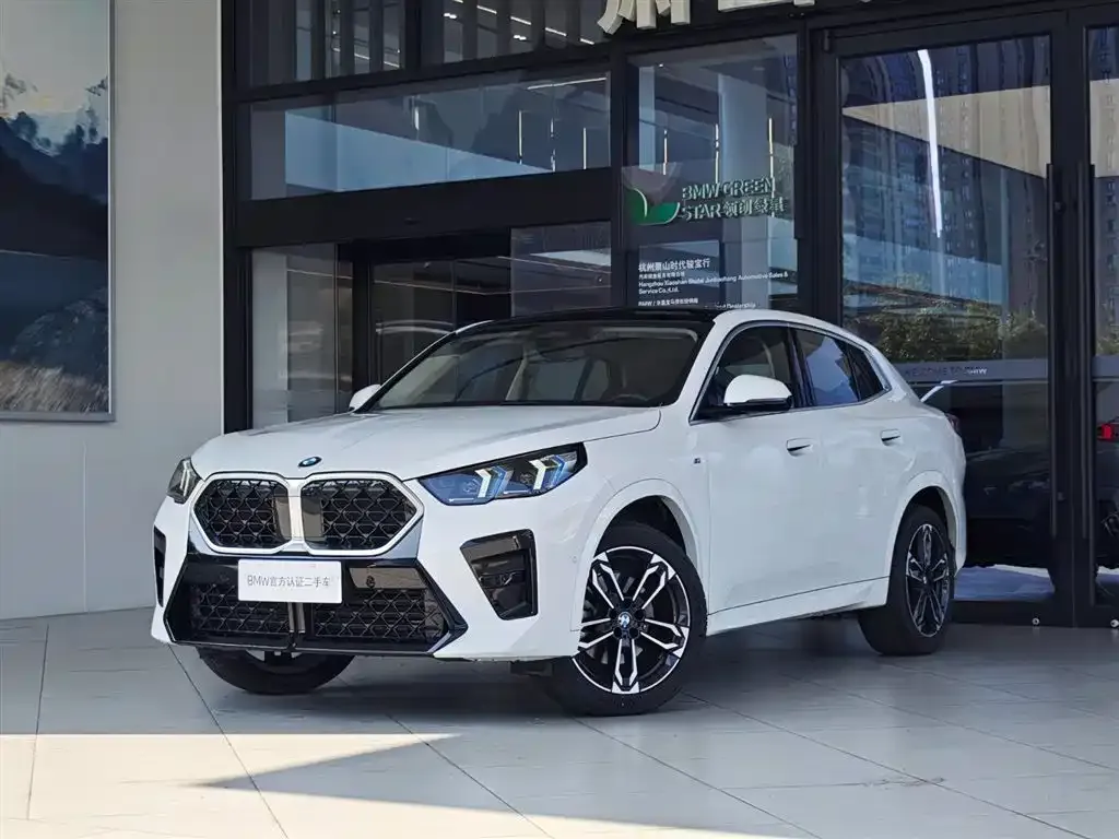 BMW X2 (Import) 2025 из CN, фото 1