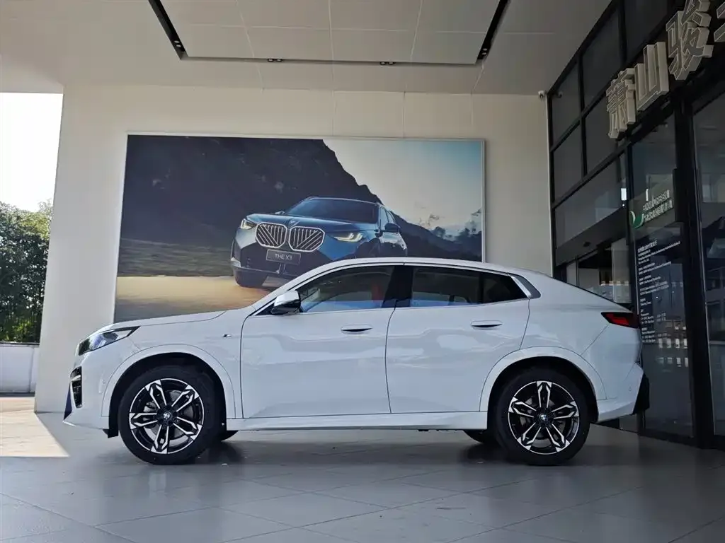 BMW X2 (Import) 2025 из CN, фото 7