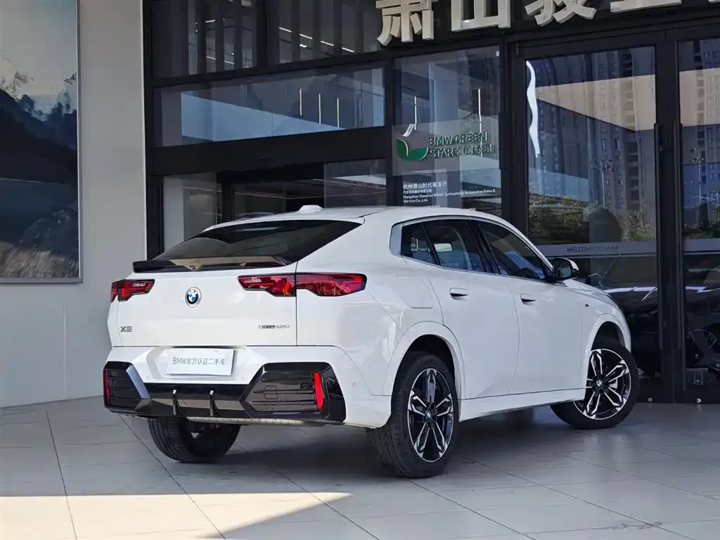 BMW X2 (Import) 2025 из CN, фото 3