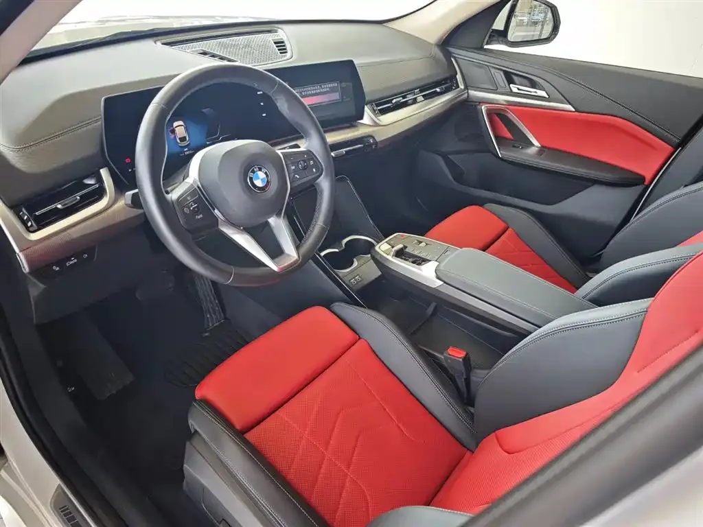 BMW X2 (Import) 2025 из CN, фото 9