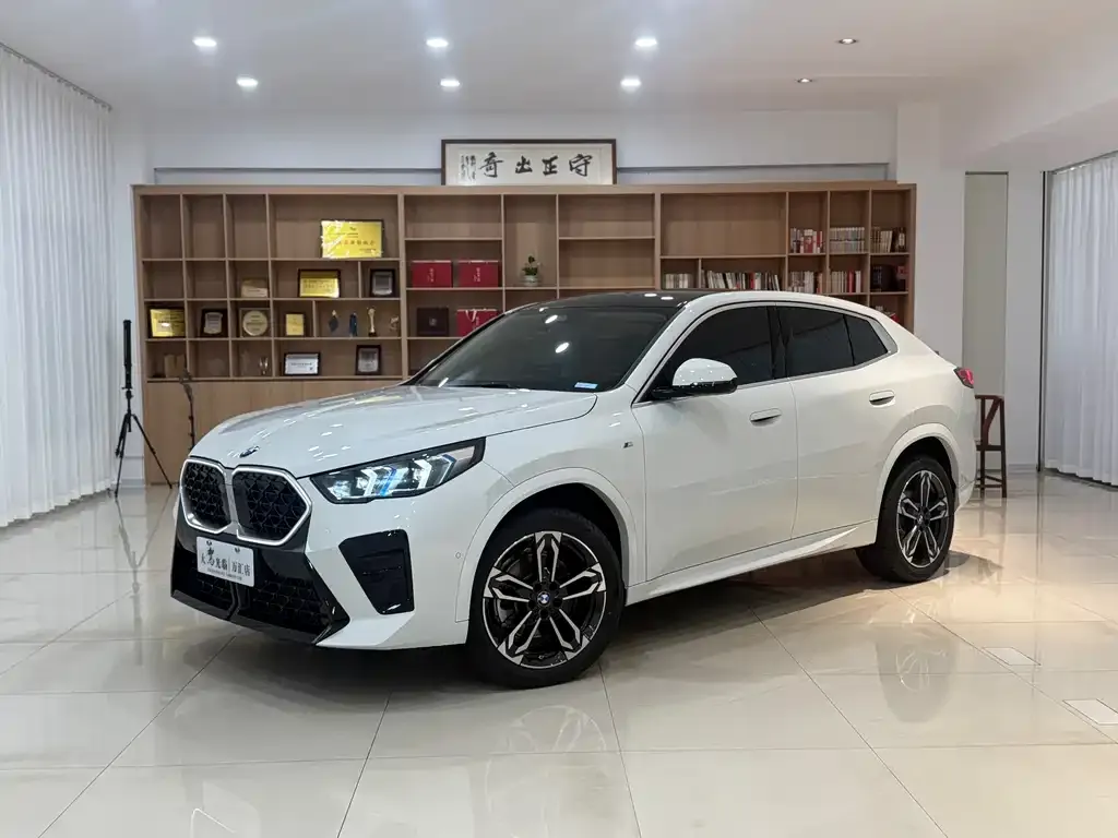 BMW X2 (Import) — фото 1