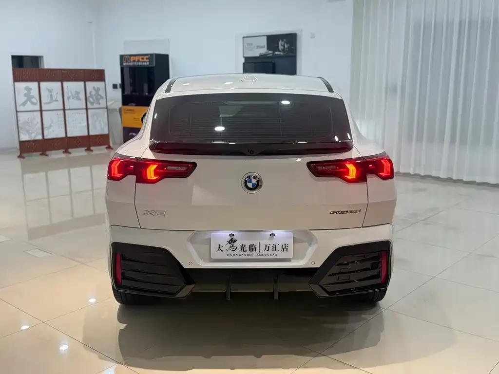 BMW X2 (Import) — фото 6