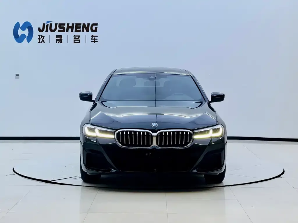 BMW 5 Series 2022 из CN, фото 3