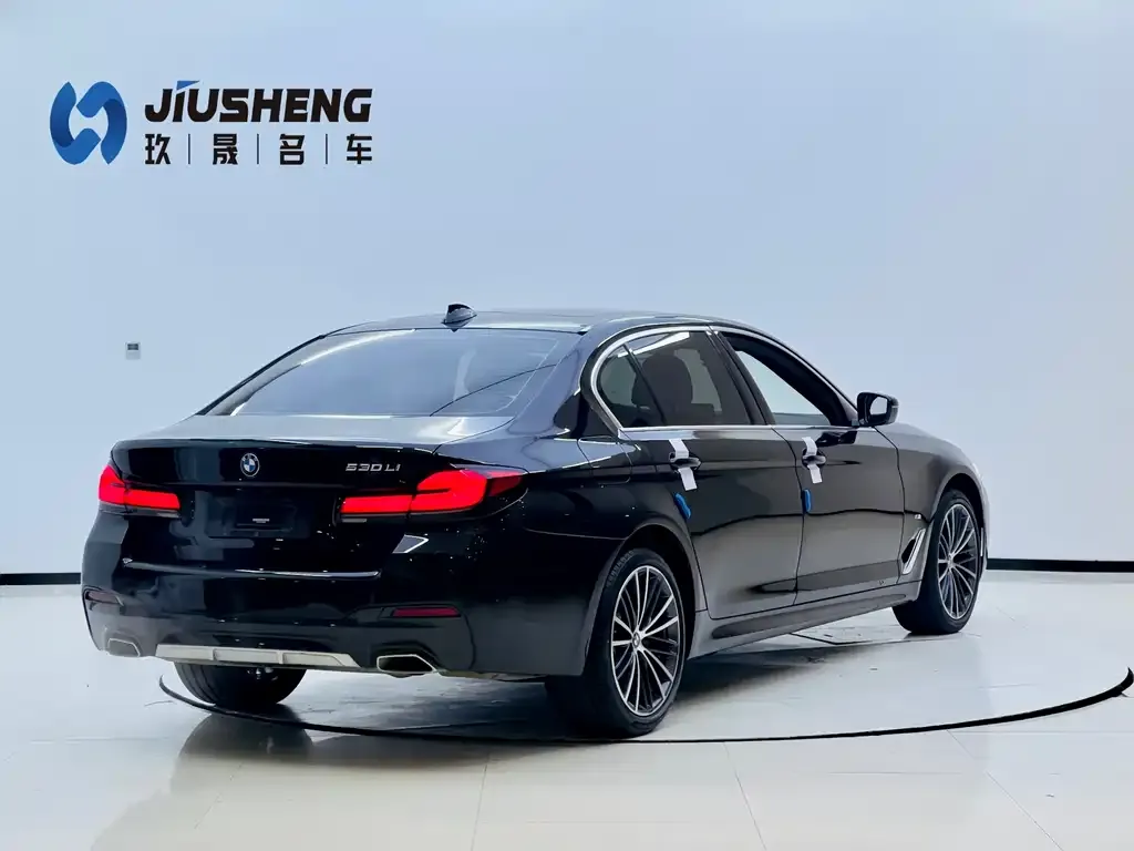 BMW 5 Series 2022 из CN, фото 4
