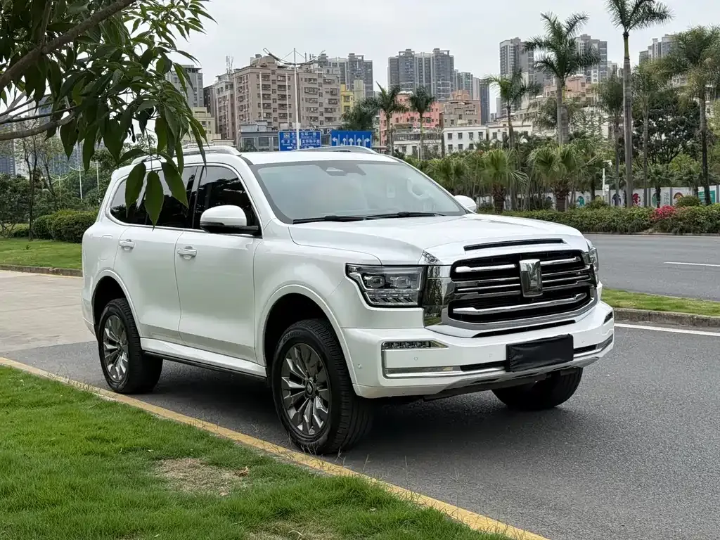 Tank 500 New Energy 2024 из CN, фото 3