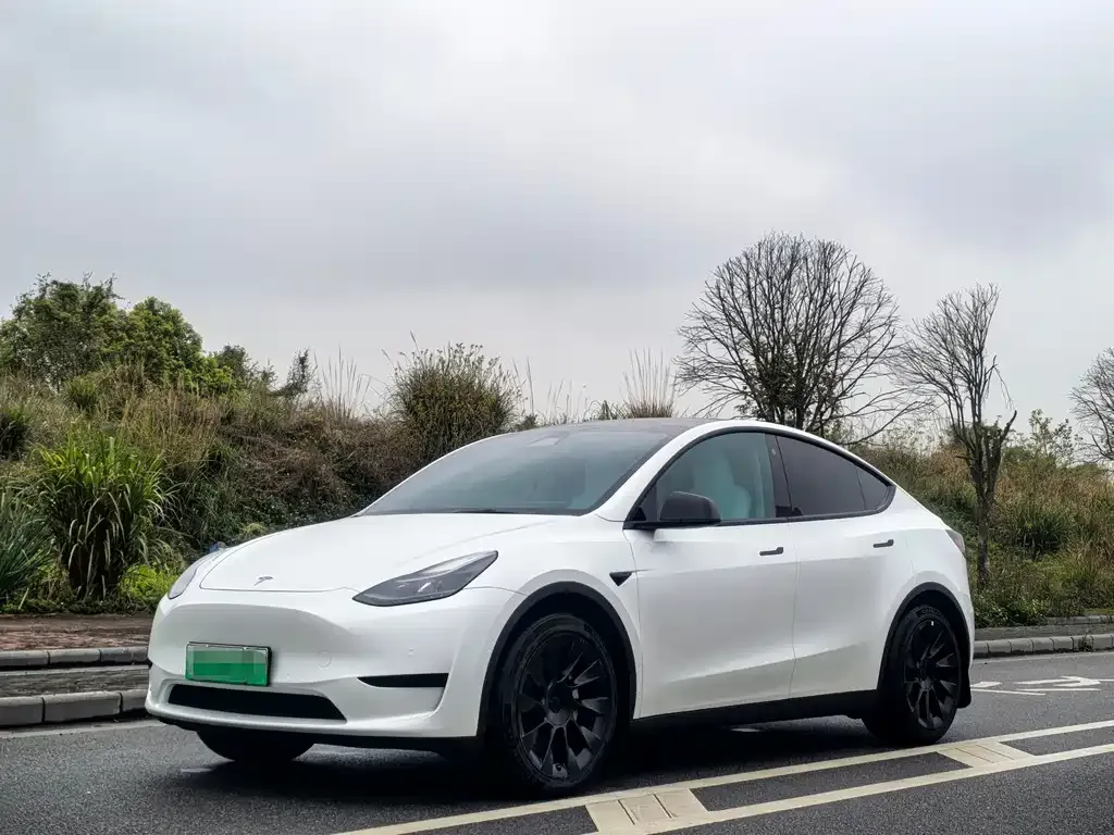 Tesla Model Y — фото 1