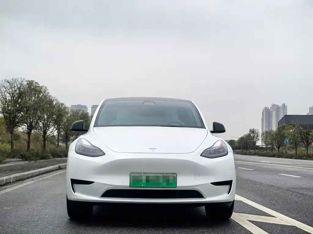 Tesla Model Y — фото 3