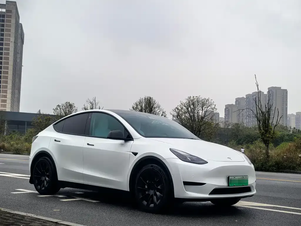 Tesla Model Y — фото 2