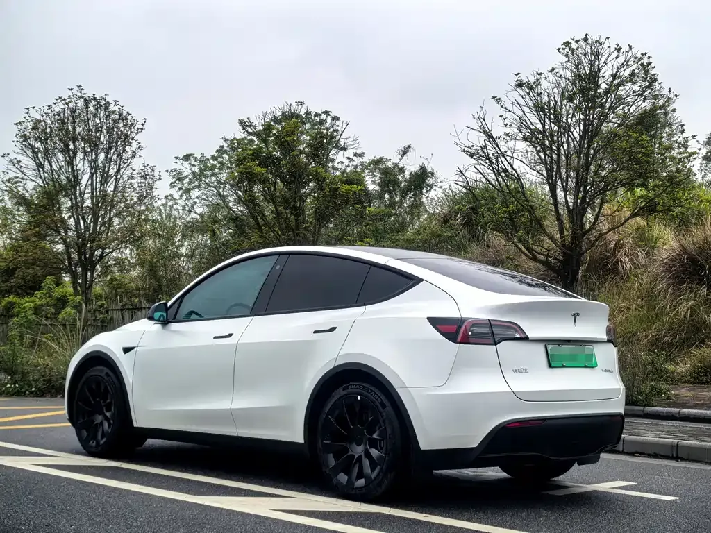 Tesla Model Y — фото 7