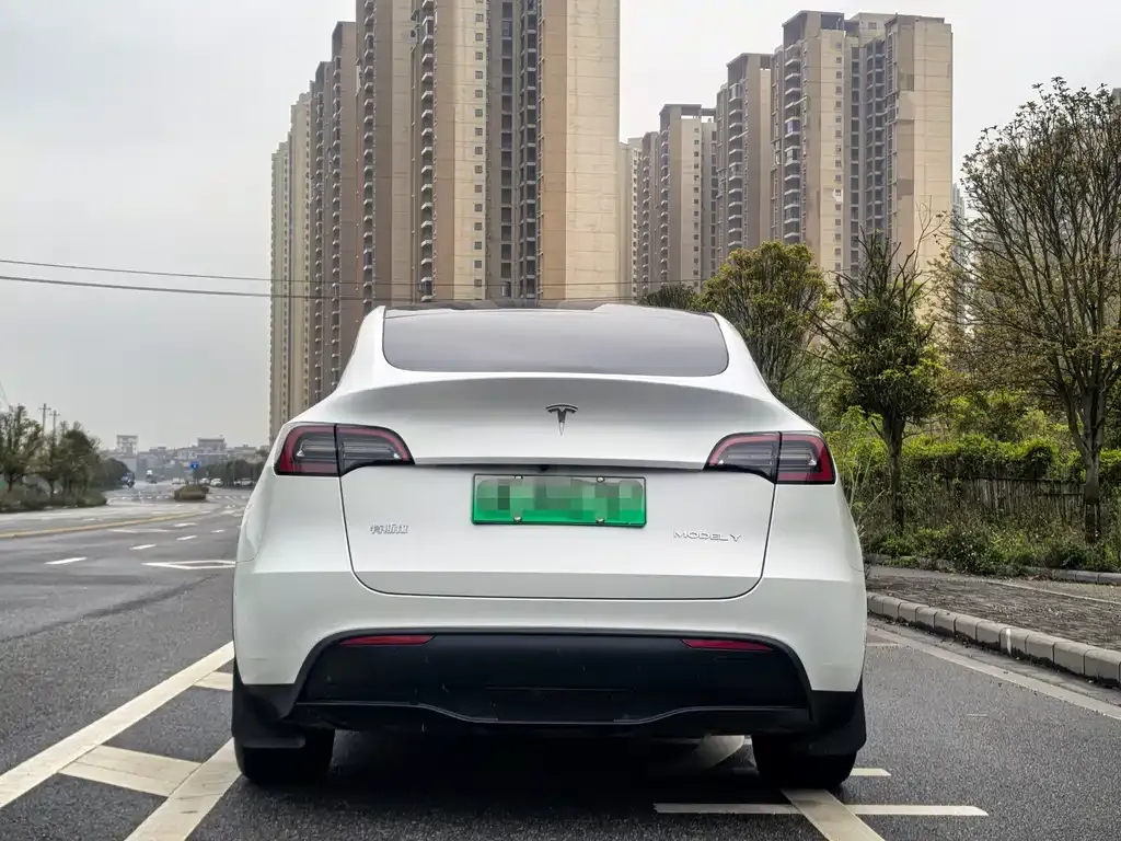 Tesla Model Y — фото 9