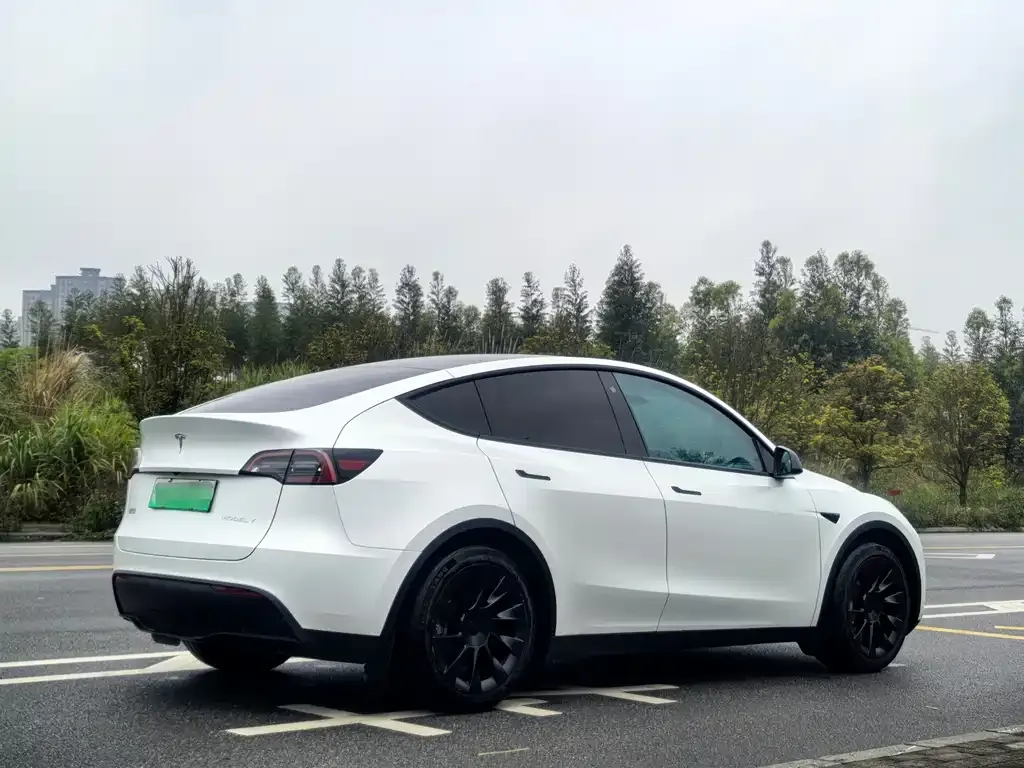 Tesla Model Y — фото 8