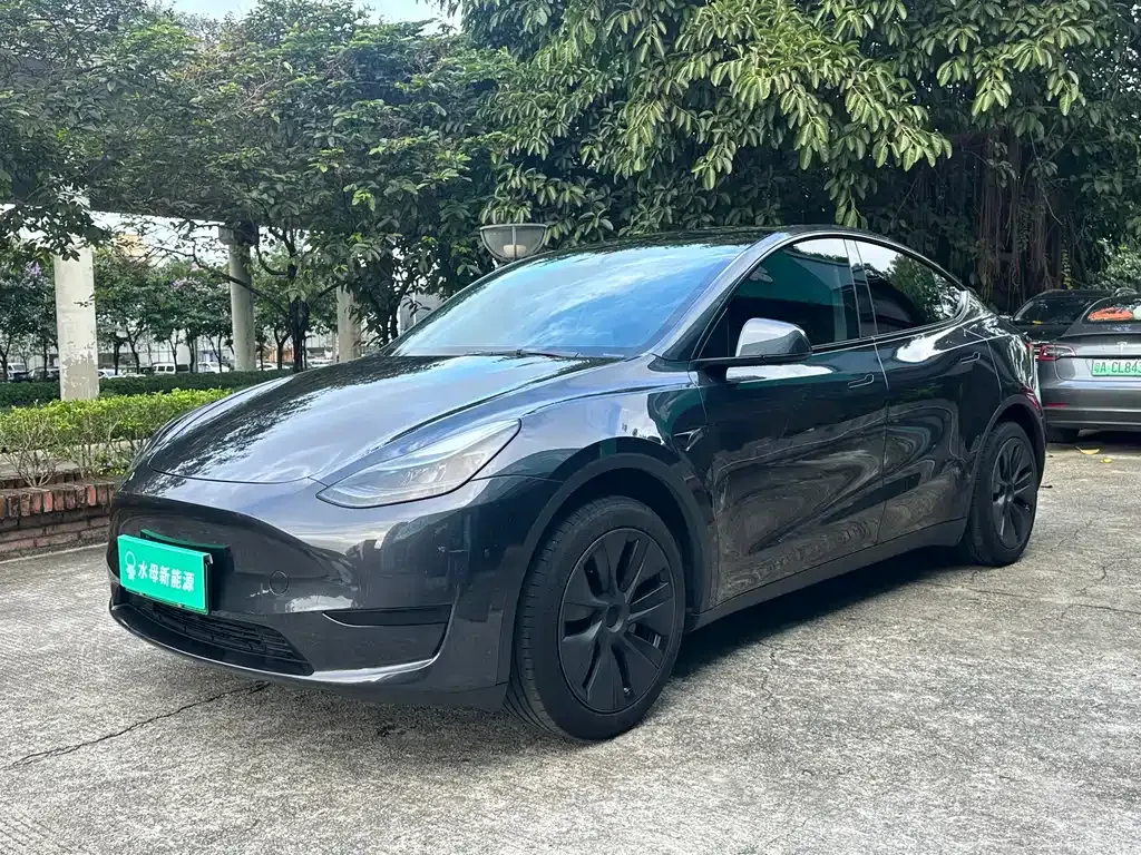 Tesla Model Y — фото 1
