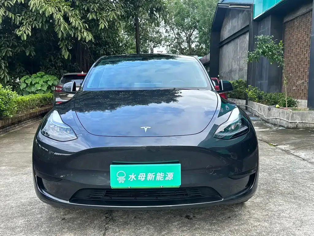 Tesla Model Y — фото 5