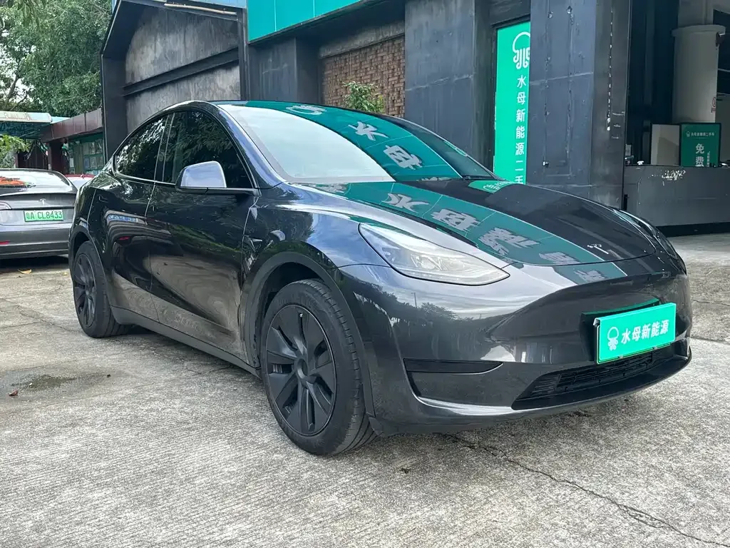 Tesla Model Y — фото 10