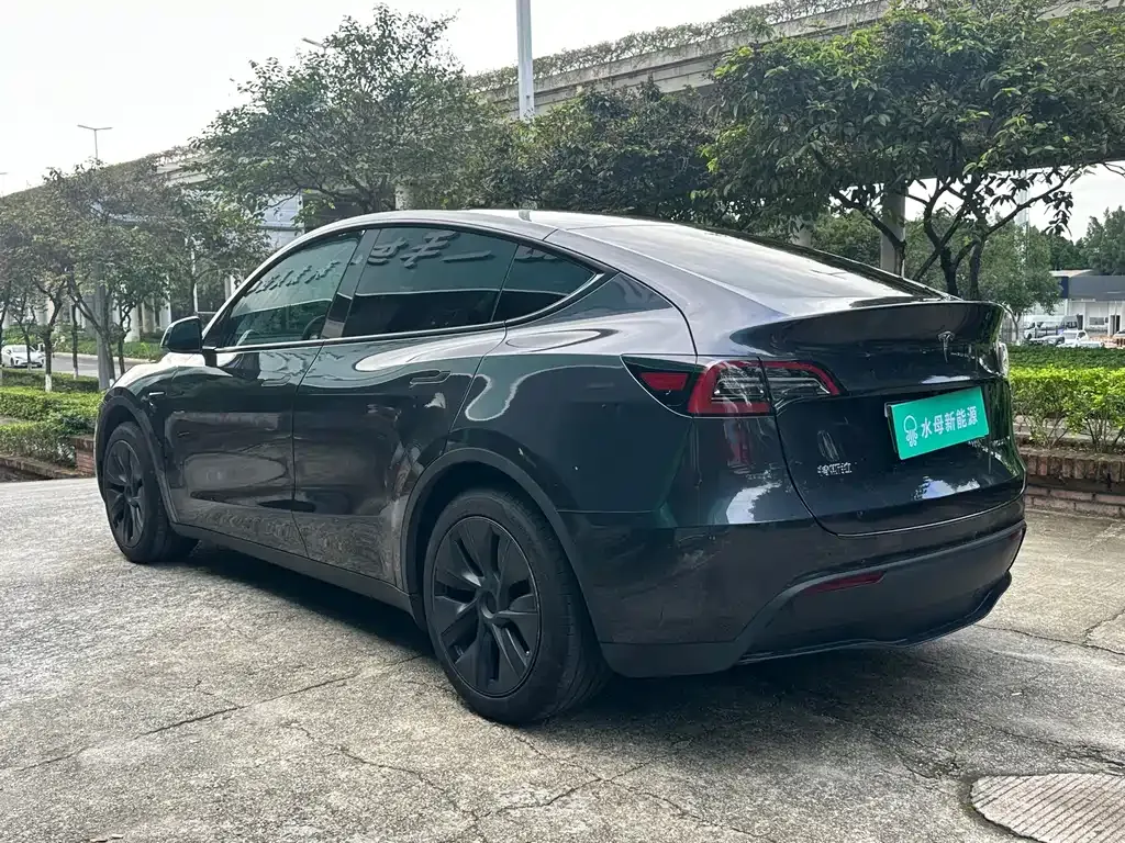 Tesla Model Y — фото 9