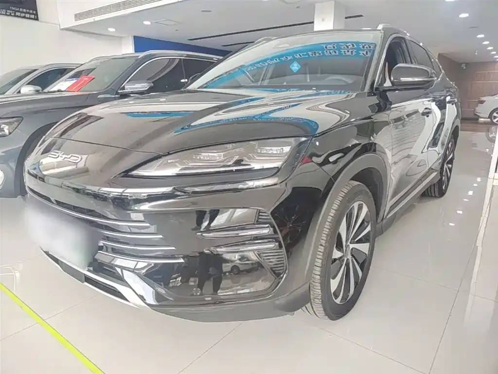 BYD PLUS New Energy — фото 8