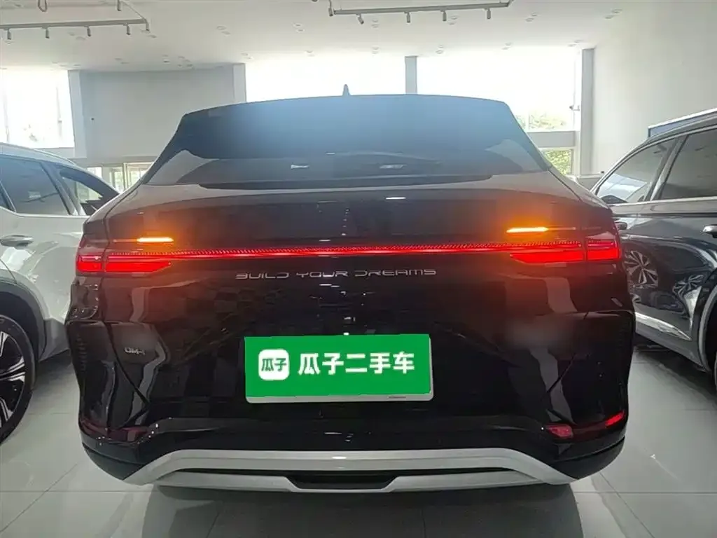 BYD PLUS New Energy — фото 2