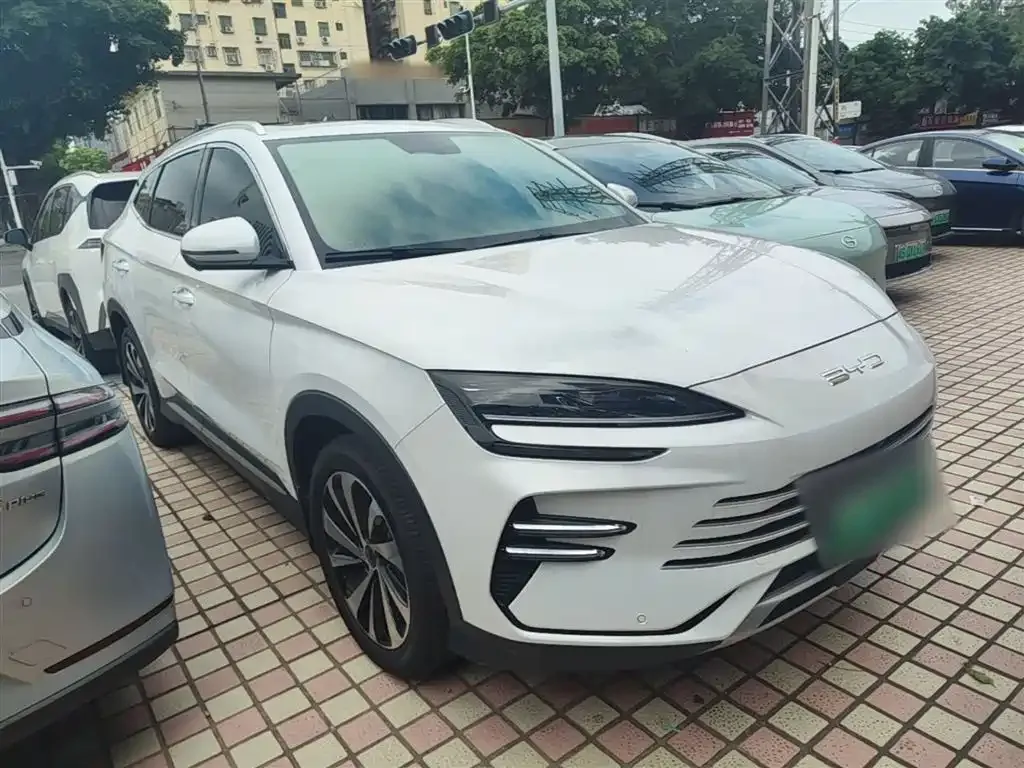 BYD PLUS New Energy 2024 из CN, фото 7