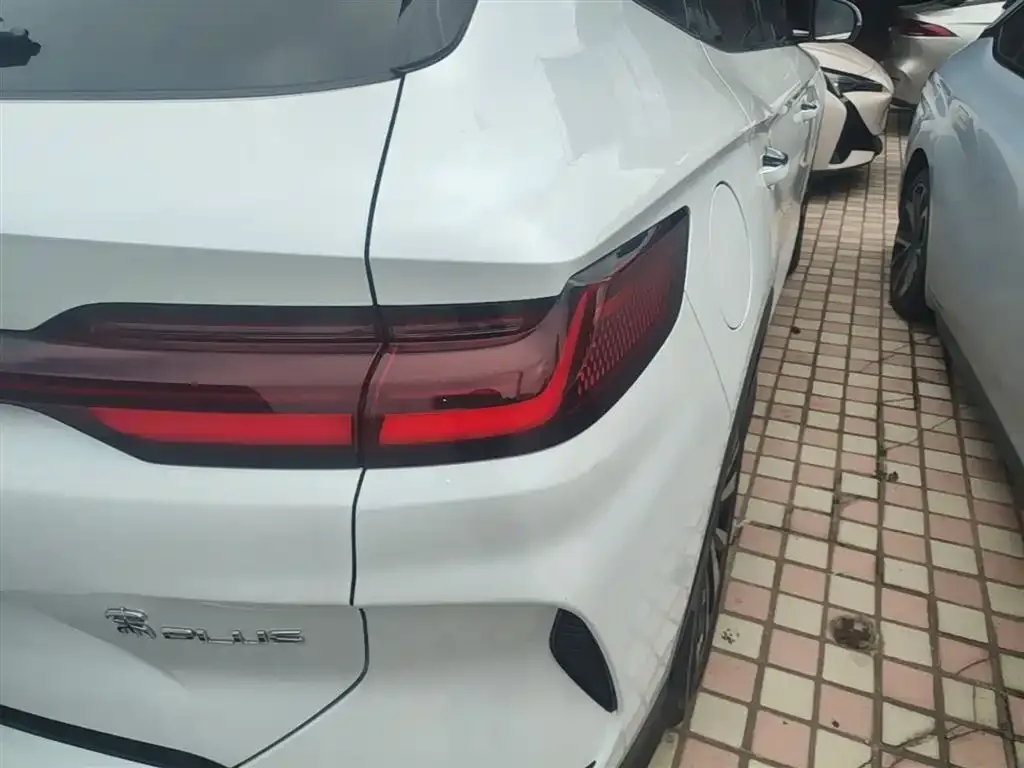 BYD PLUS New Energy 2024 из CN, фото 3