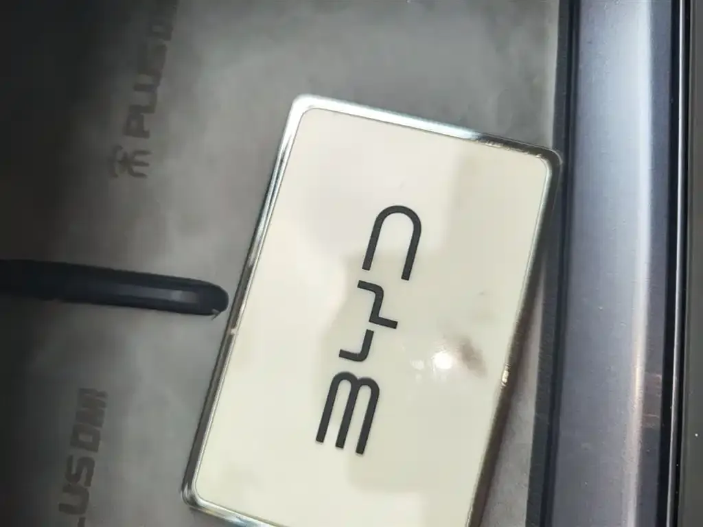 BYD PLUS New Energy 2024 из CN, фото 2