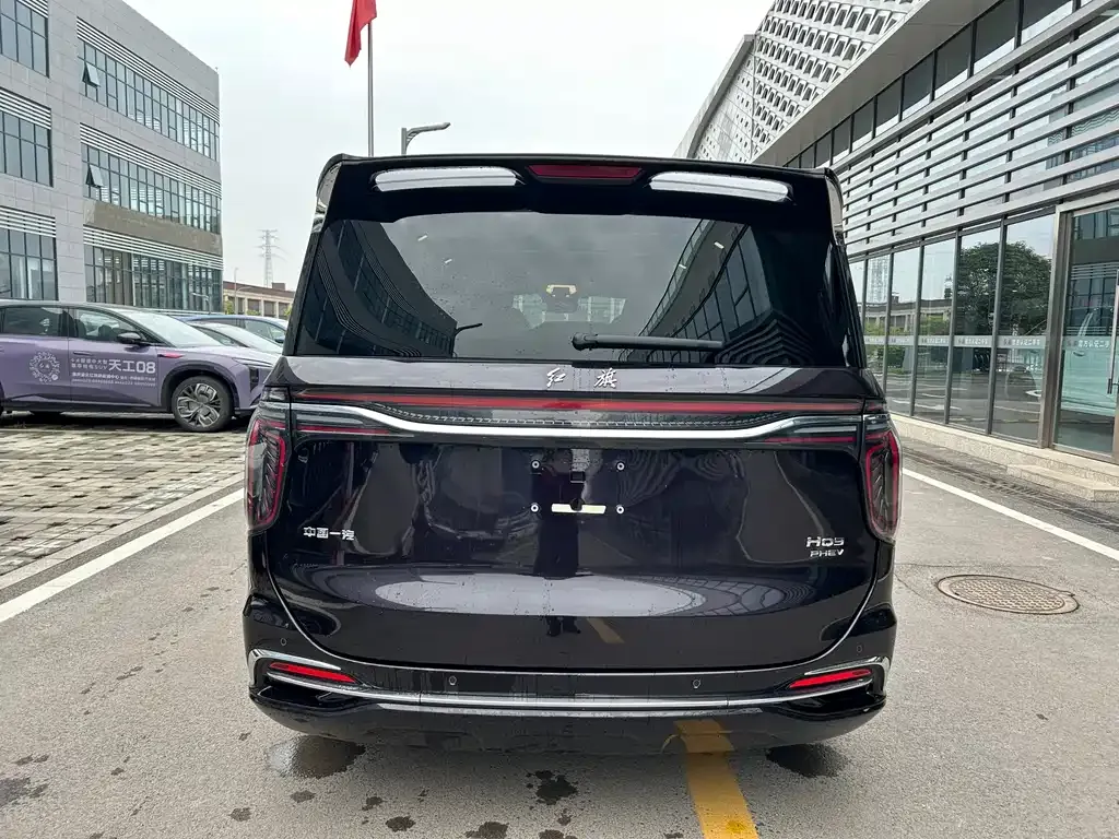 Hongqi HQ9 PHEV 2024 из CN, фото 6