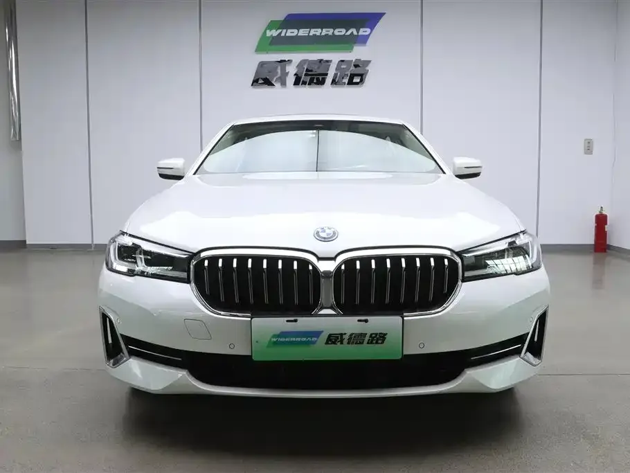 BMW 5 Series New Energy 2021 из CN, фото 2