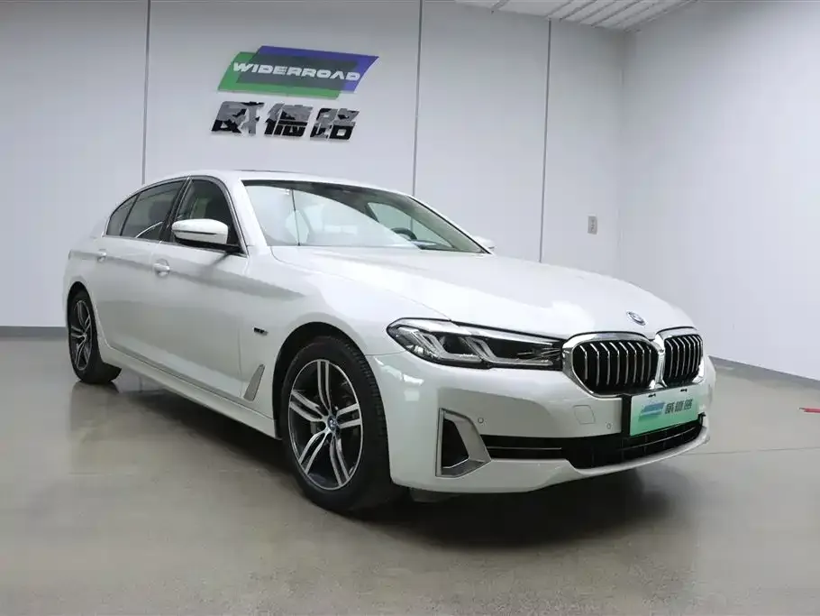 BMW 5 Series New Energy 2021 из CN, фото 3