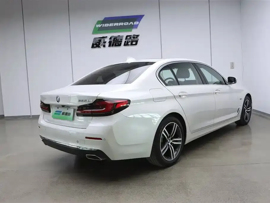 BMW 5 Series New Energy 2021 из CN, фото 8