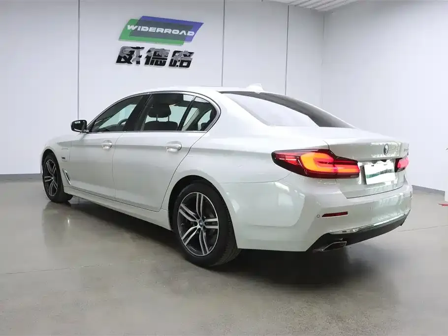 BMW 5 Series New Energy 2021 из CN, фото 6