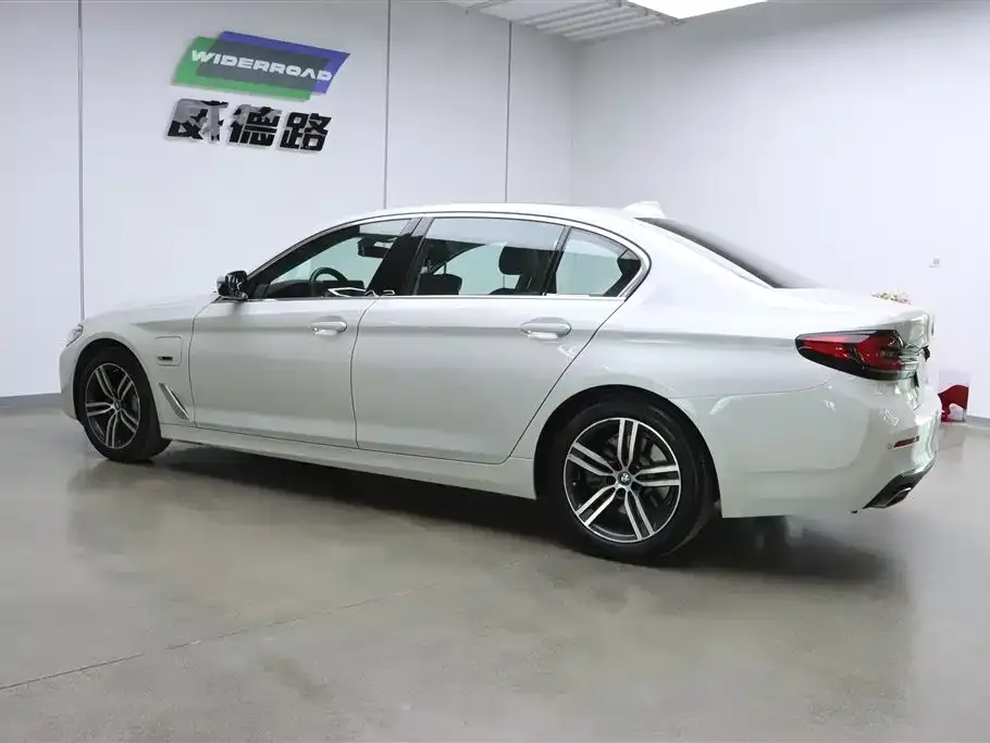 BMW 5 Series New Energy 2021 из CN, фото 4