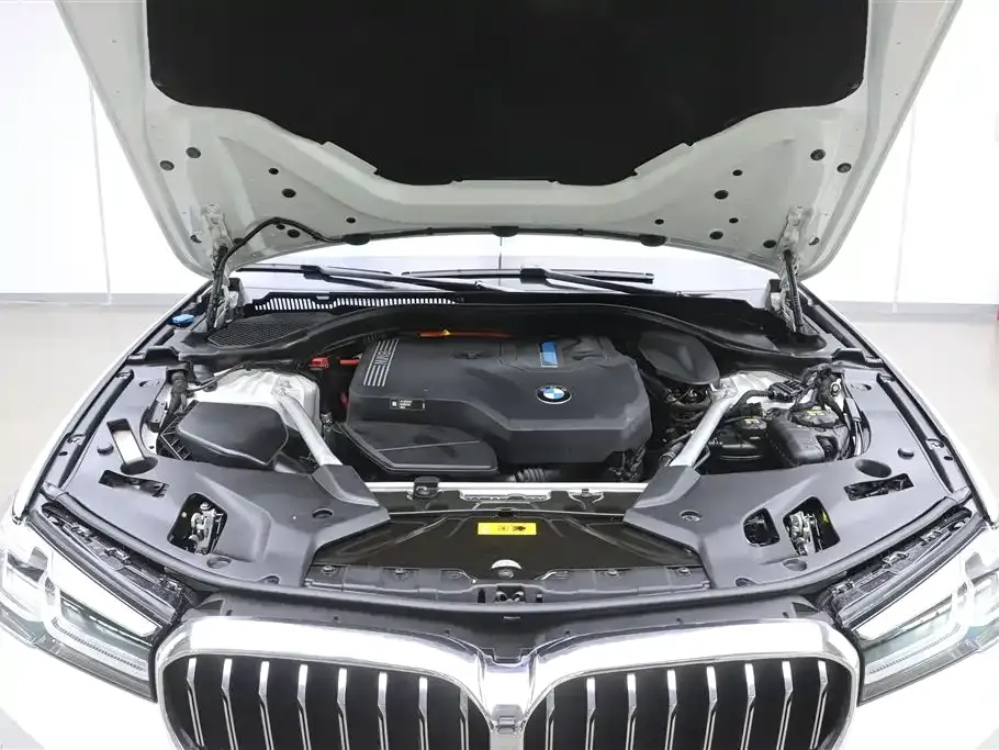 BMW 5 Series New Energy 2021 из CN, фото 10