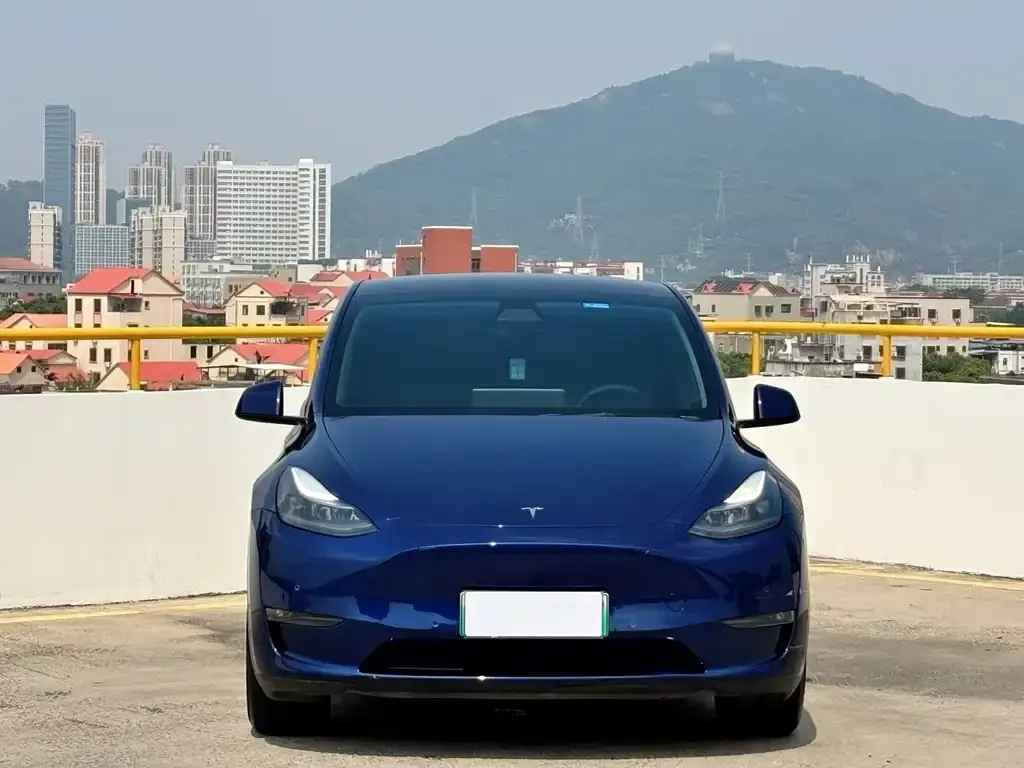 Tesla Model Y — фото 7