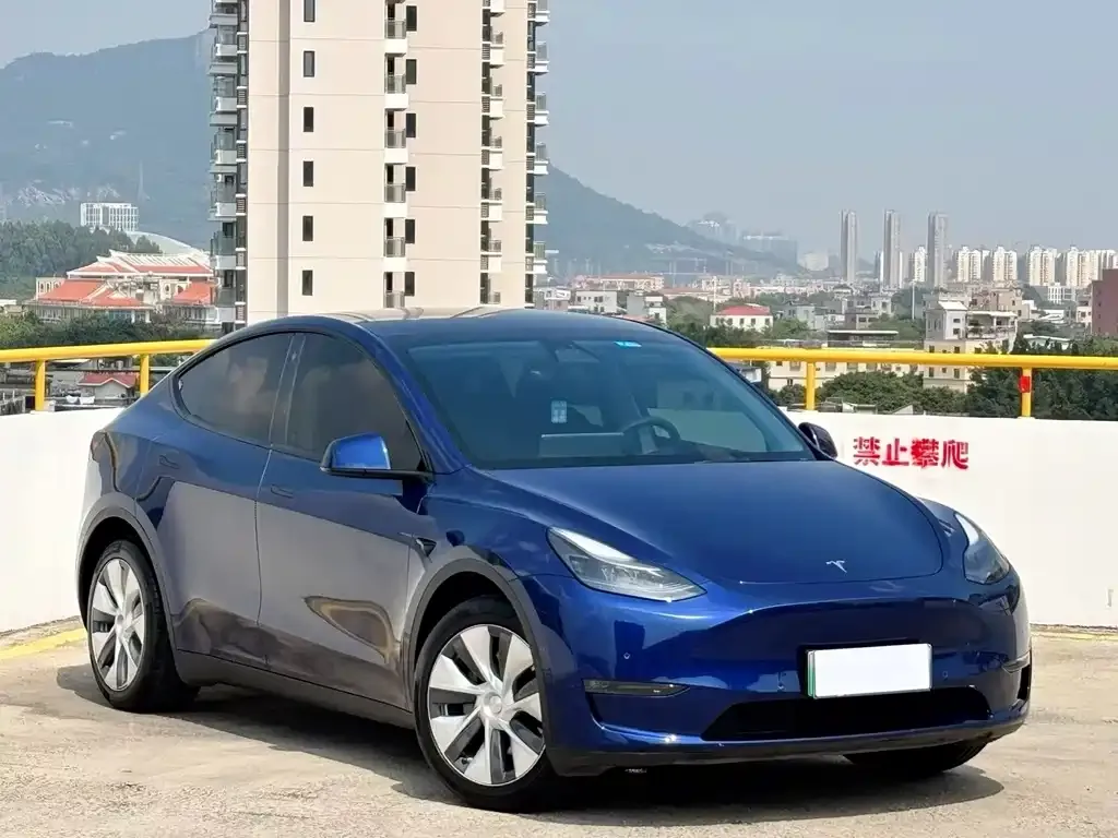Tesla Model Y — фото 3