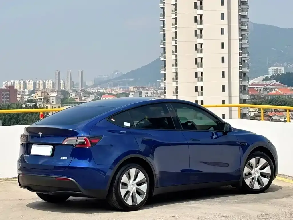 Tesla Model Y — фото 4