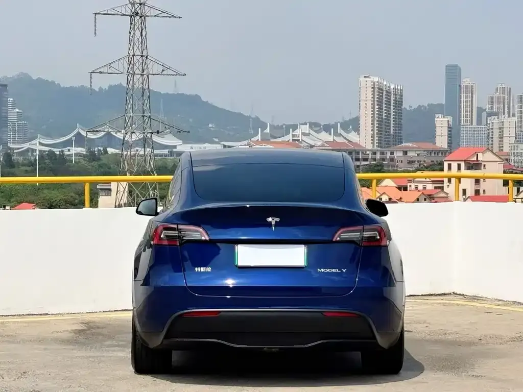 Tesla Model Y — фото 6