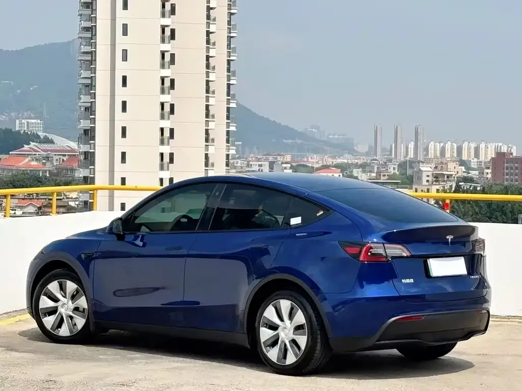 Tesla Model Y — фото 5