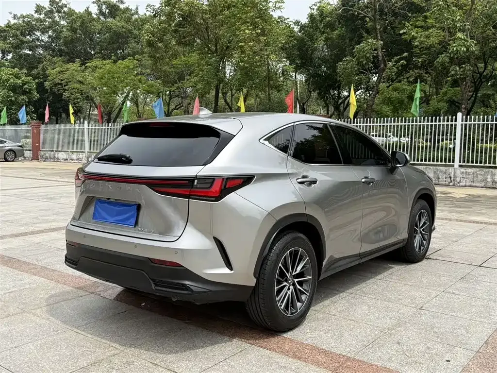Lexus NX — фото 6